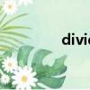 divided into（divided）