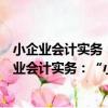 小企業會計實務：“小企業會計制度”實施指南（關于小企業會計實務：“小企業會計制度”實施指南簡介）