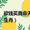欲錢買真命天子是什么生肖（真命天子是什么生肖）