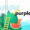 purplegrapes中文意思及發音