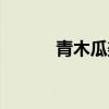 青木瓜美容湯（青木瓜美人湯）