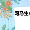 網馬生成器2022（網馬生成器）