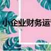 小企業財務運營（關于小企業財務運營簡介）