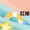 紅袖日記范文（紅袖日記）