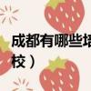 成都有哪些培訓學校招生（成都有哪些培訓學校）