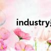 industry是什么意思中文翻譯怎么讀