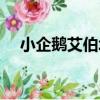 小企鵝艾伯塔（關于小企鵝艾伯塔簡介）