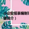 小企業報表編制實務一點通（關于小企業報表編制實務一點通簡介）