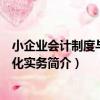 小企業會計制度與信息化實務（關于小企業會計制度與信息化實務簡介）
