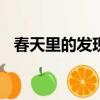 春天里的發現作文300字（春天里的發現）