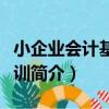 小企業會計基礎實訓（關于小企業會計基礎實訓簡介）