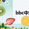 bbc中式學校（bbc中國學校）