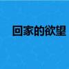 回家的欲望 劇情介紹（回家的欲望劇情）