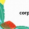 corporation ltd什么意思