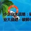 小企業大戰略：破解中小企業經理人的13大難題（關于小企業大戰略：破解中小企業經理人的13大難題簡介）