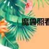 魔獸照看看護者（魔獸世界護照）