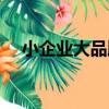 小企業大品牌（關于小企業大品牌簡介）