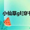 小仙草gl[穿書]（關于小仙草gl[穿書]簡介）