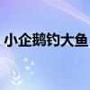 小企鵝釣大魚！（關于小企鵝釣大魚！簡介）