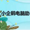 小企鵝電腦助手（關于小企鵝電腦助手簡介）