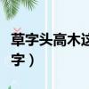草字頭高木這個字念什么（草字頭高木念什么字）