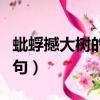蚍蜉撼大樹的上一句是什么（蚍蜉撼大樹下一句）