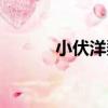 小伏洋梨（關于小伏洋梨簡介）