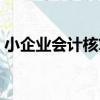 小企業會計核算（關于小企業會計核算簡介）