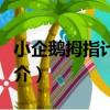 小企鵝拇指計算機（關于小企鵝拇指計算機簡介）