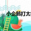小企鵝打太極（關于小企鵝打太極簡介）