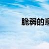 脆弱的意思是什么（脆弱的意思）