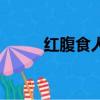 紅腹食人鯧能吃嗎（紅腹食人鯧）