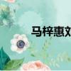 馬梓惠劉心宇牽手視頻（馬梓惠）