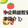 小企鵝益智寶：識字（關于小企鵝益智寶：識字簡介）