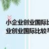 小企業創業國際比較與我國小企業創業模式構建（關于小企業創業國際比較與我國小企業創業模式構建簡介）
