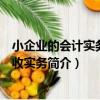 小企業的會計實務與稅收實務（關于小企業的會計實務與稅收實務簡介）