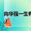 向華強一生有多少女人（向華強玩死過的女人）