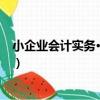 小企業會計實務·稅務版（關于小企業會計實務·稅務版簡介）