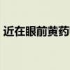 近在眼前黃藥師 滾滾d蟲（近在眼前黃藥師）