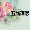 五線譜怎么看和弦（五線譜怎么看）