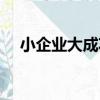 小企業大成功（關于小企業大成功簡介）