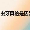 蟲牙真的是因為牙齒中有蟲嗎小雞寶寶考考你
