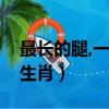 最長的腿,一步登天打一生肖（一步登天打一生肖）