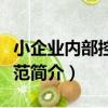 小企業內部控制規范（關于小企業內部控制規范簡介）