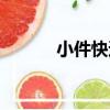 小件快遞（關于小件快遞簡介）
