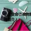 小企業會計準則解釋與應用（關于小企業會計準則解釋與應用簡介）