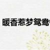 暖香惹夢鴛鴦錦什么意思（暖香惹夢鴛鴦錦）