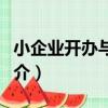 小企業開辦與管理（關于小企業開辦與管理簡介）