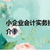 小企業會計實務操作指南（關于小企業會計實務操作指南簡介）