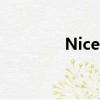 Nice lifestyle（nice life）